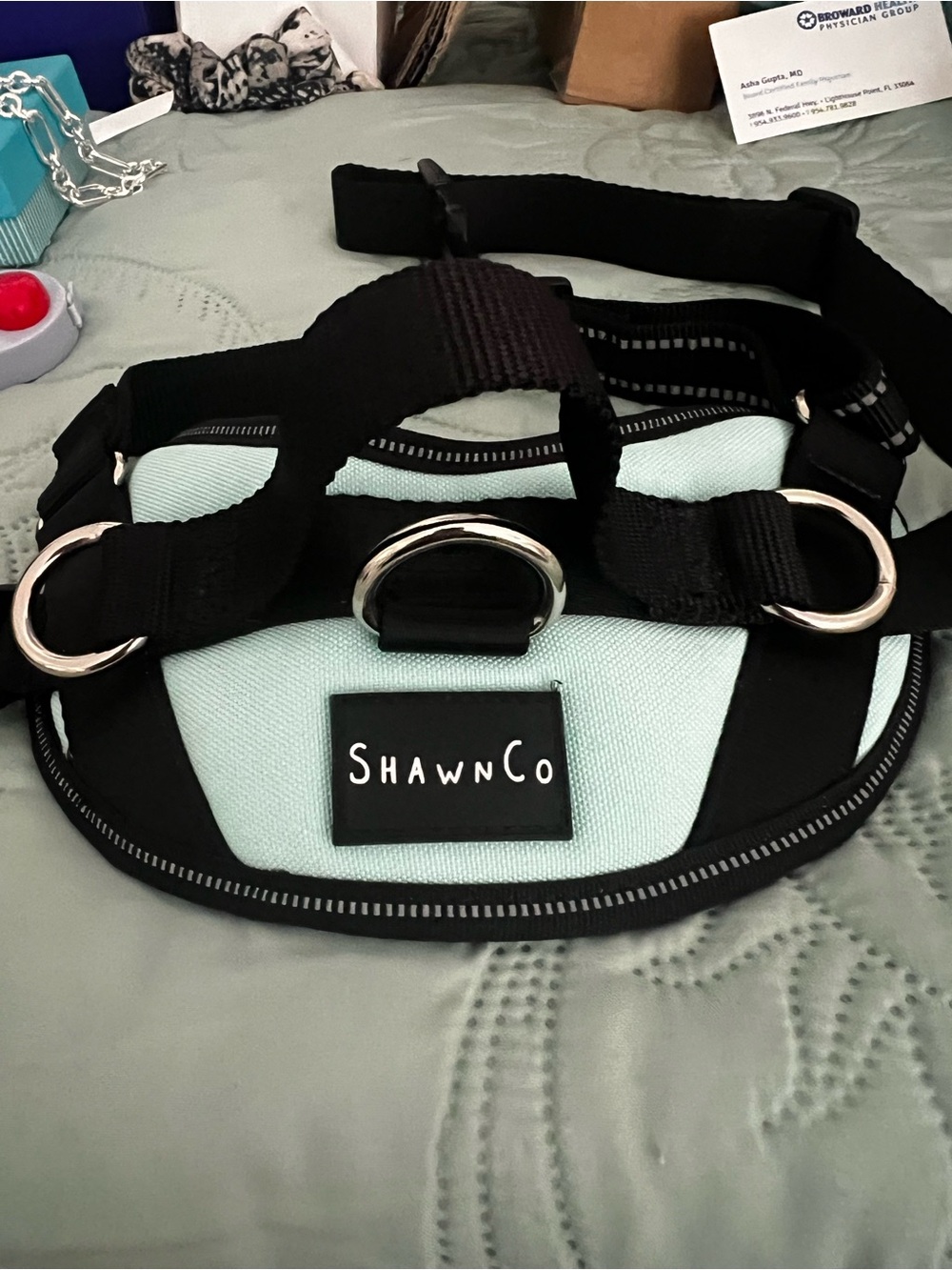 Mint Dog Harness with Black Trim - Padded Secure Fit